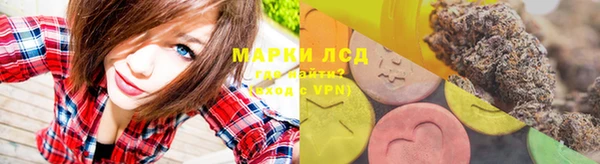 СК Снежногорск